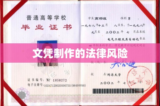 枣阳文凭制作的法律风险