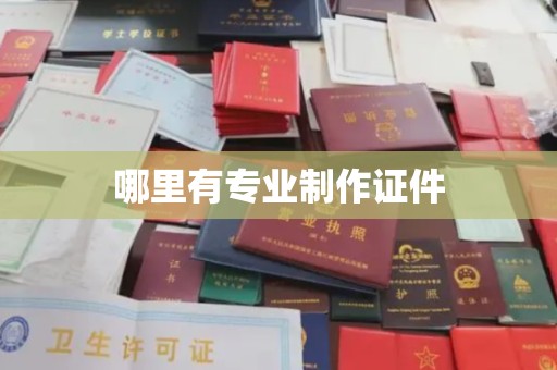 枣阳哪里有专业制作证件
