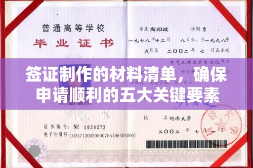 枣阳签证制作的材料清单，确保申请顺利的五大关键要素