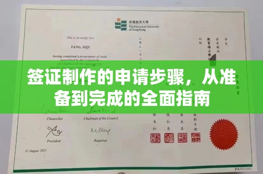 枣阳签证制作的申请步骤，从准备到完成的全面指南