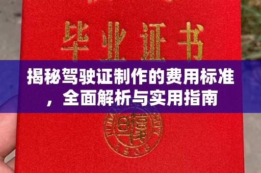 枣阳揭秘驾驶证制作的费用标准，全面解析与实用指南