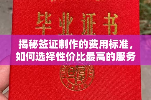 枣阳揭秘签证制作的费用标准，如何选择性价比最高的服务？
