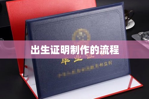 枣阳出生证明制作的流程