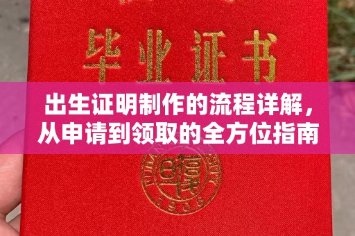 枣阳出生证明制作的流程详解，从申请到领取的全方位指南